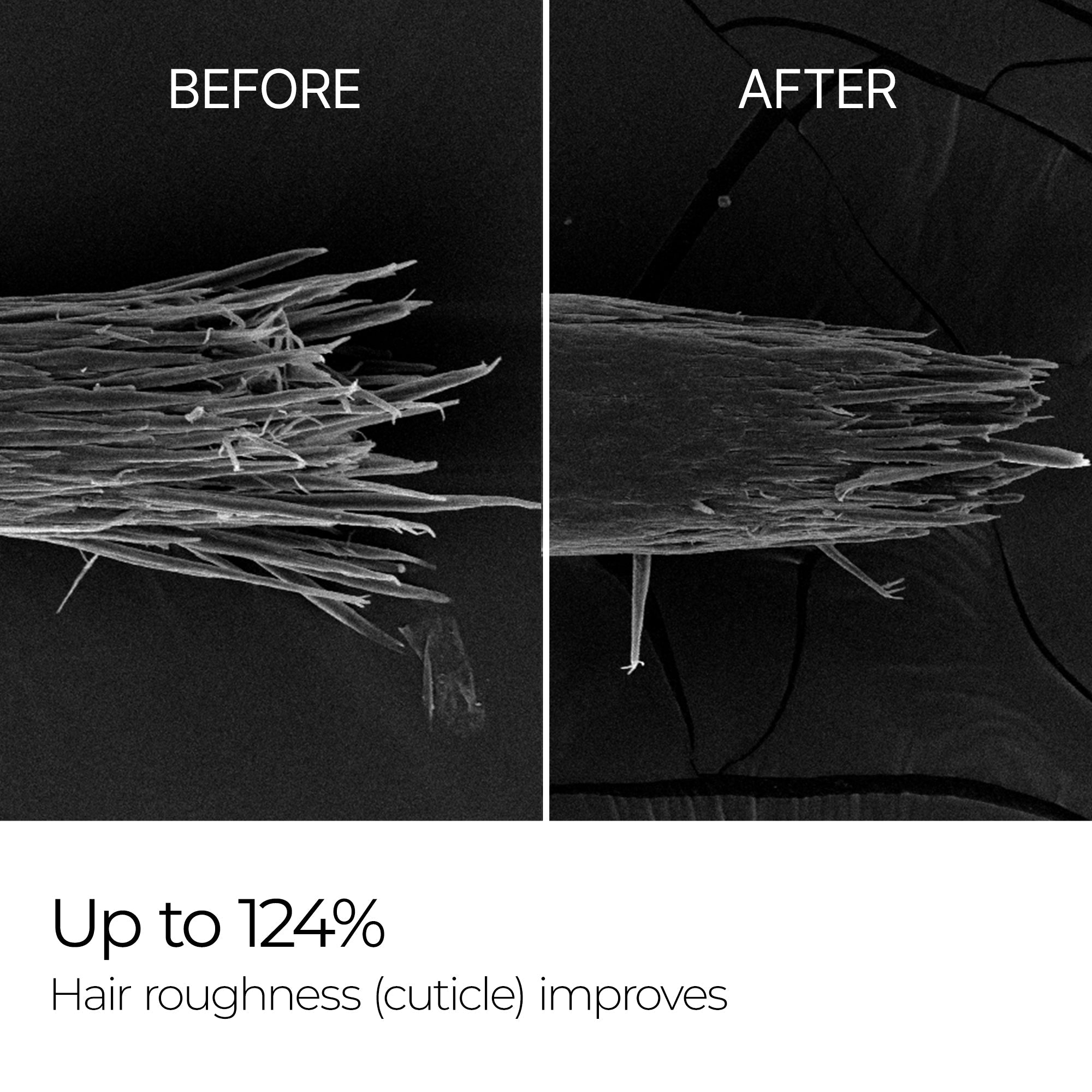 Bondex bonding remodeling line