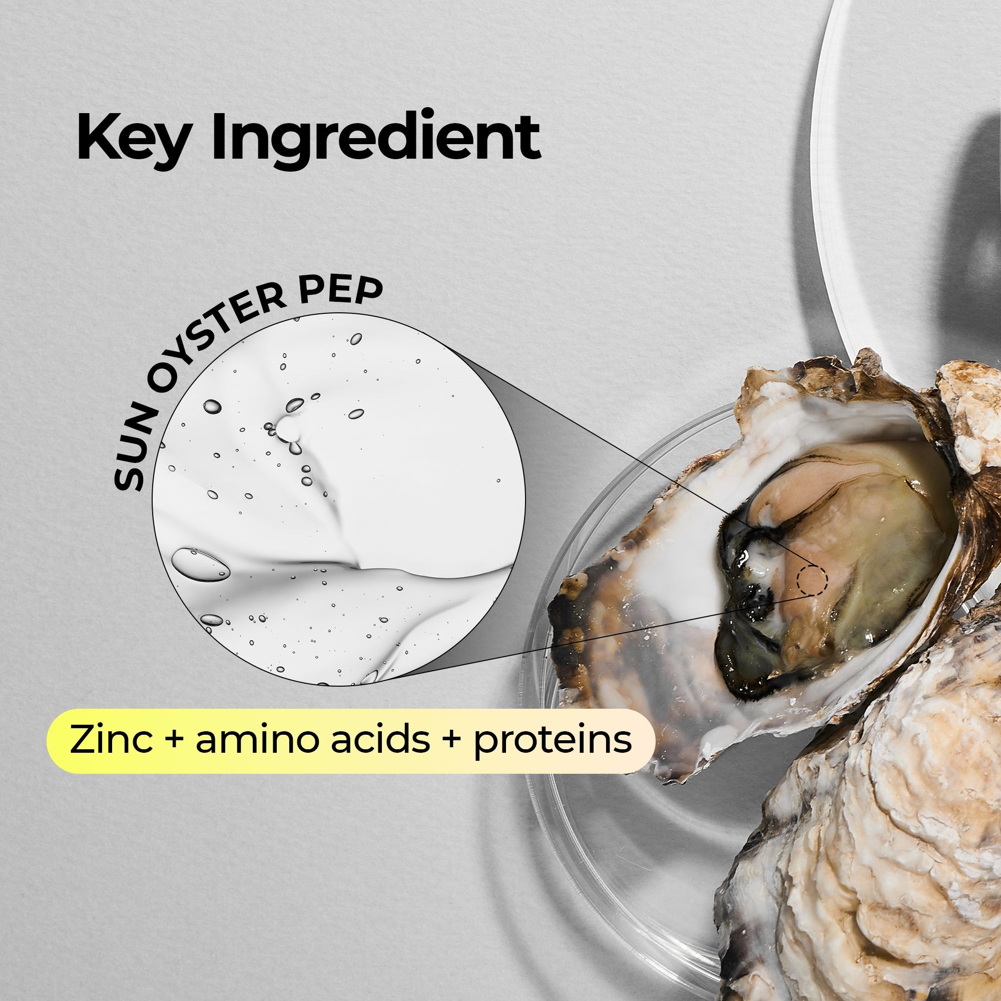 Oyster Pep-3 Renewal Serum