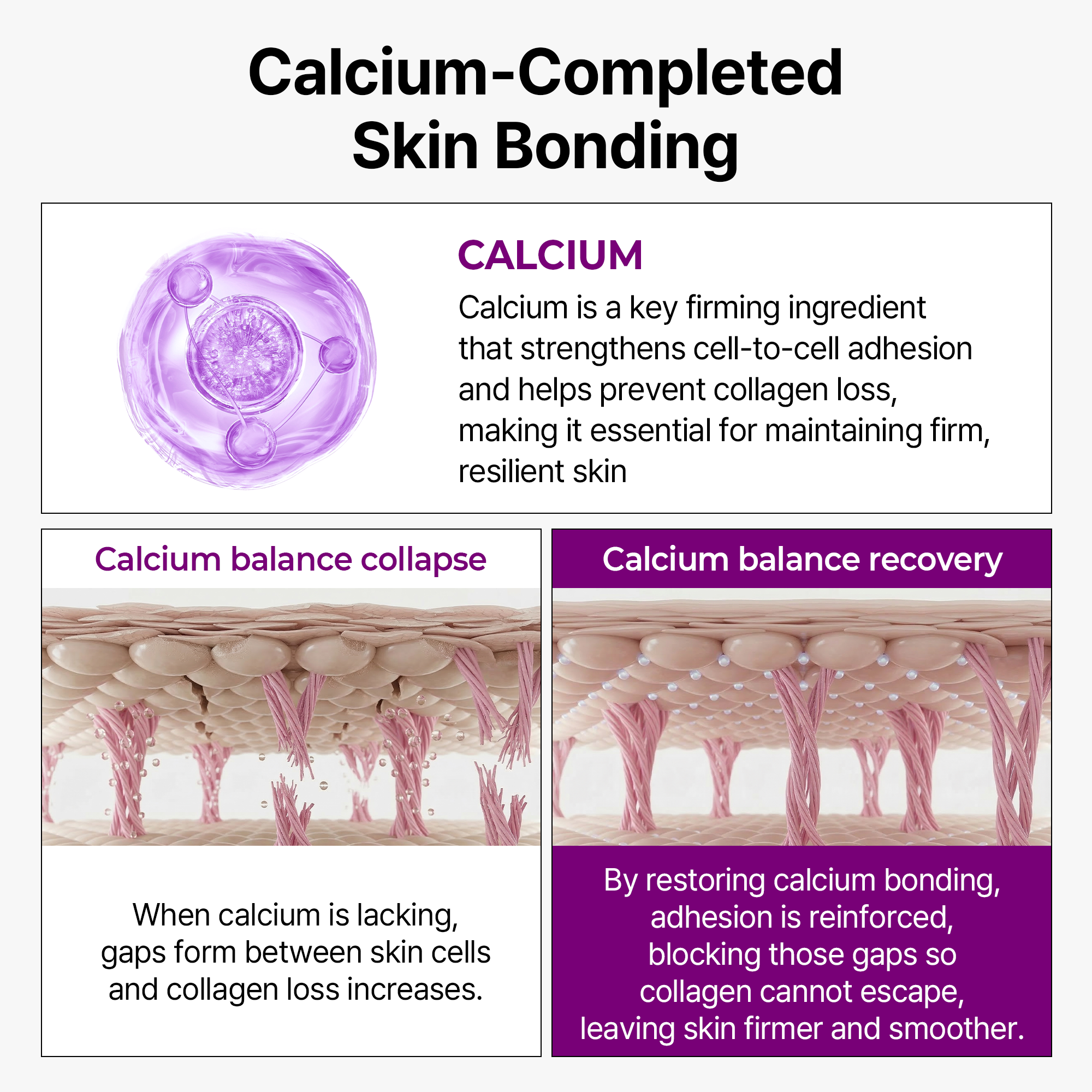 Calcium Bonding Serum