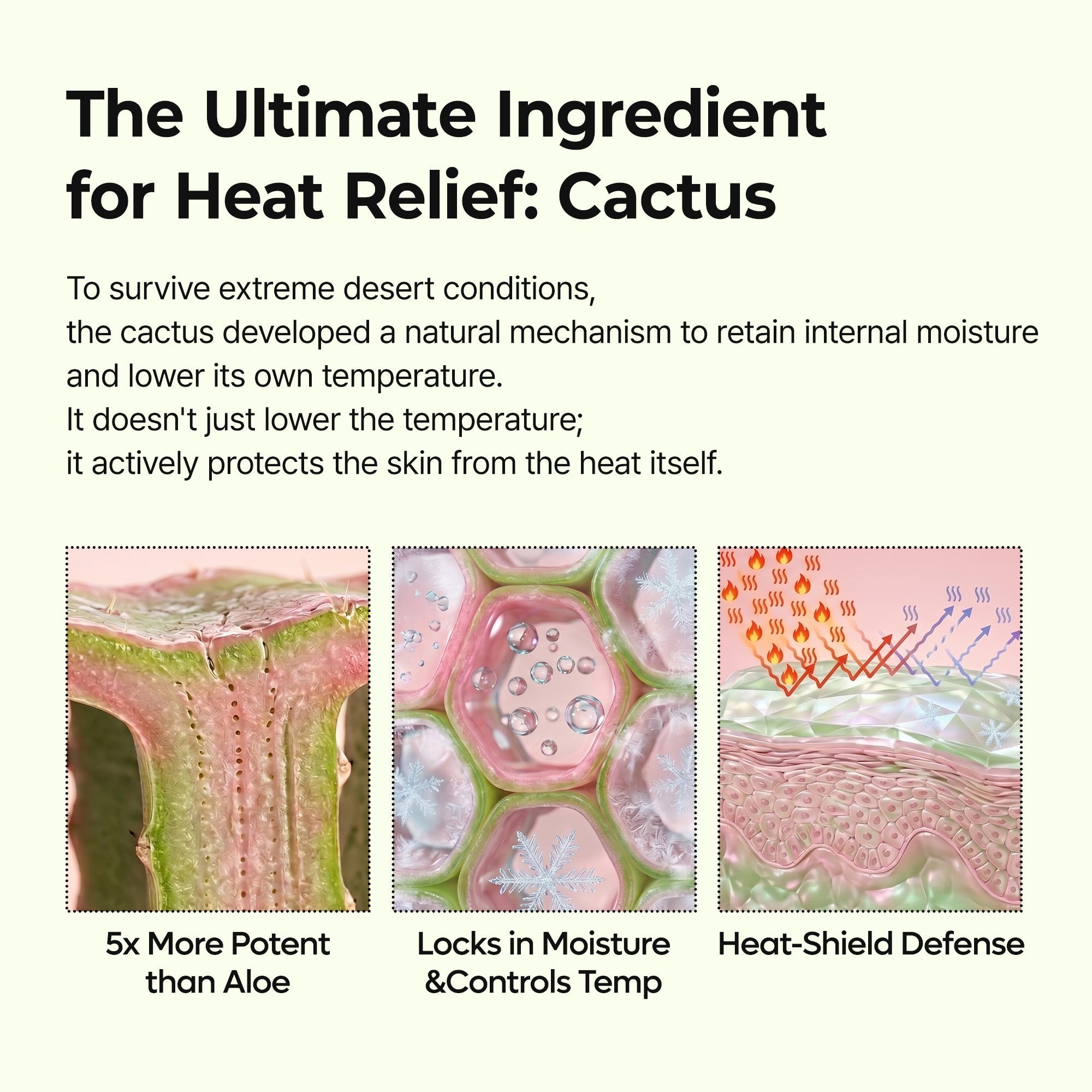 Cactox Pore Relief Gel Cleanser