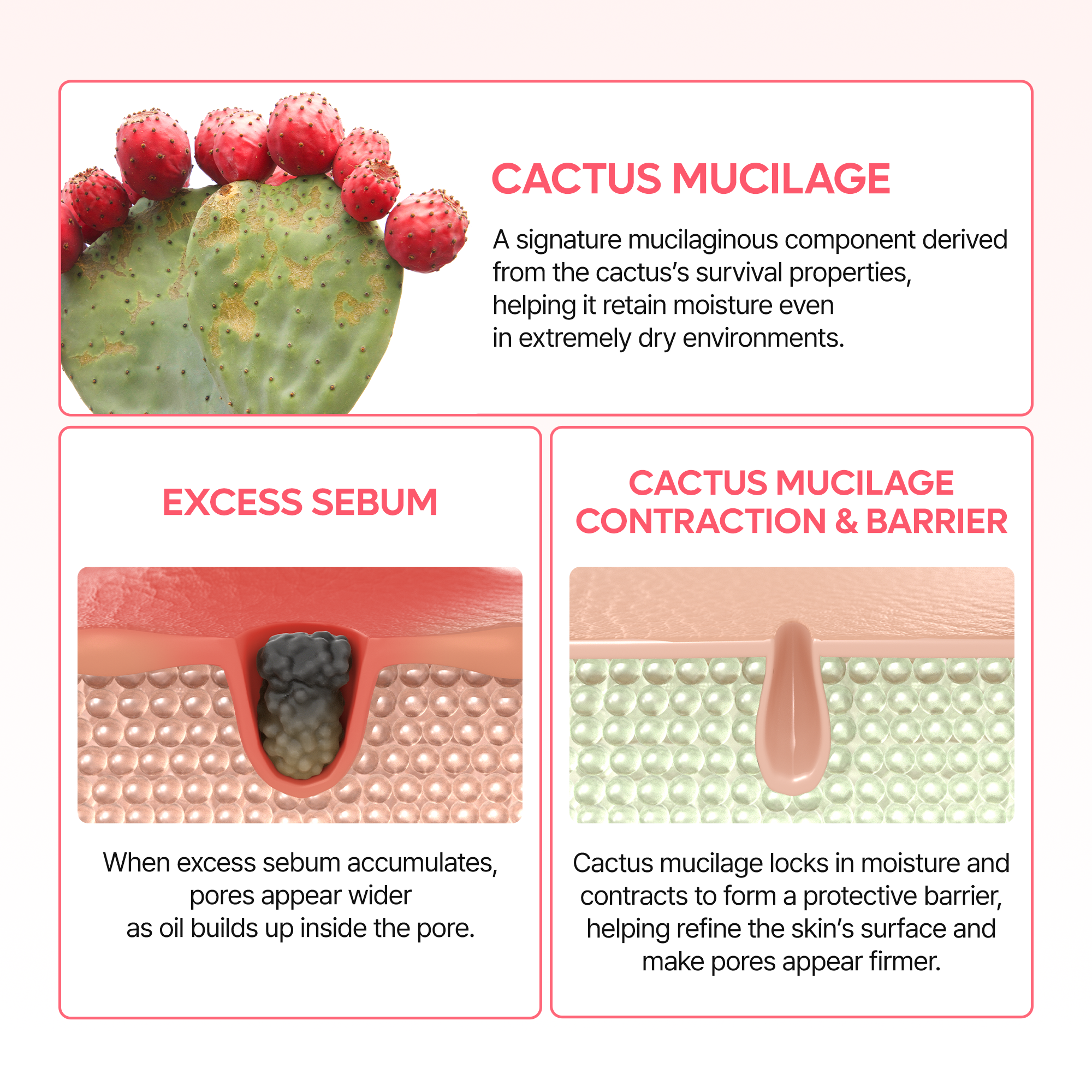 Cactox Pore Dual Capsule Cream