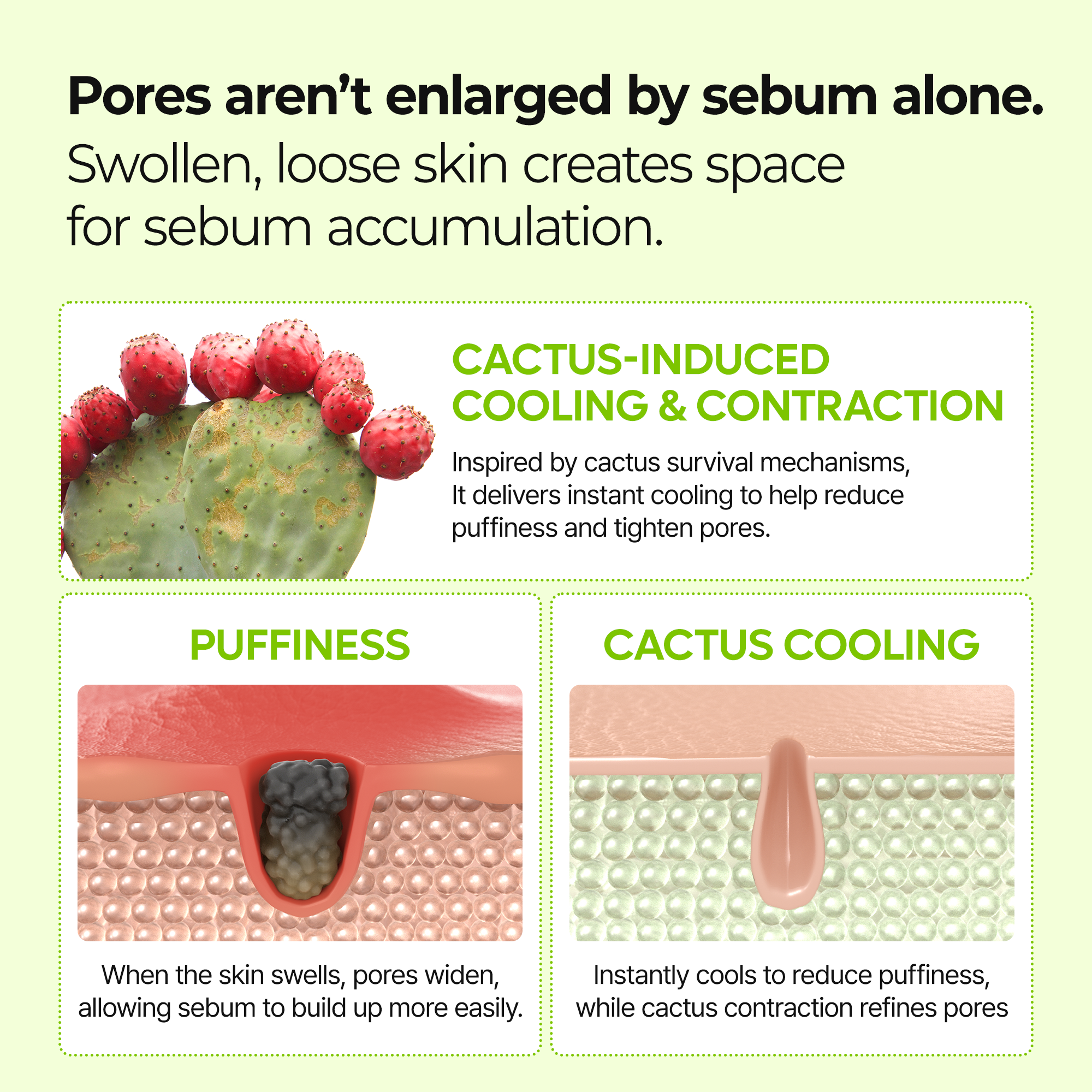 Cactox Pore Relief Jelly Serum Mist