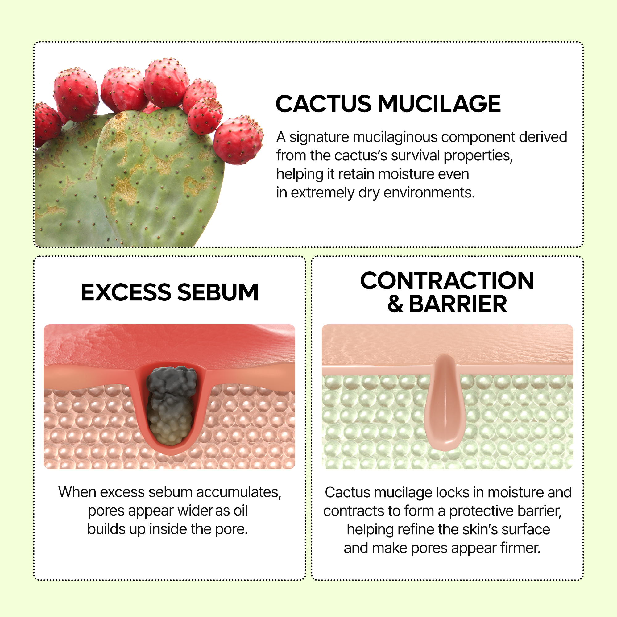 Cactox Pore Relief Serum